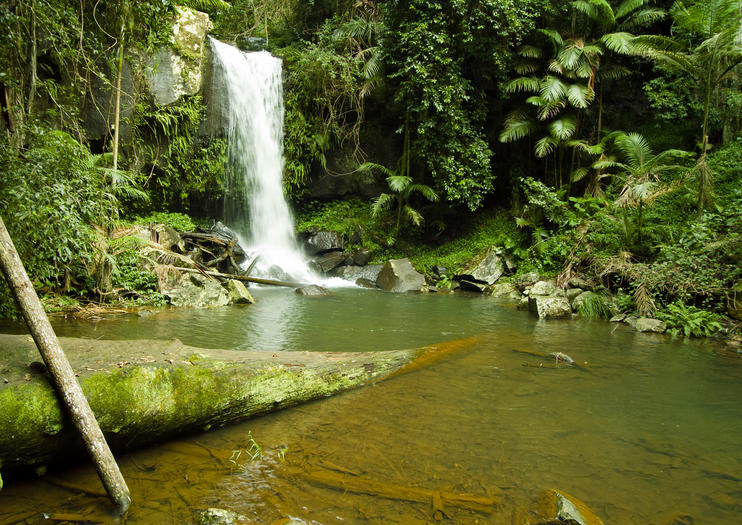 Parc National de Mont Tamborine